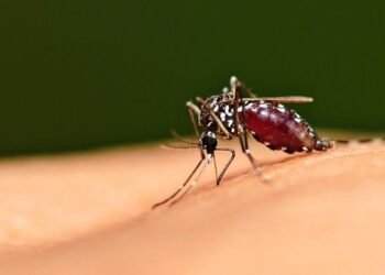 Kutim Kejar Eliminasi Malaria 2027