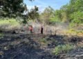 Musim Panas, Api Melahap Lahan Perkebunan di Bontang