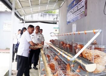 Panen Raya di Rutan Pangkep, Hasilnya untuk Korban Bencana