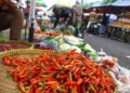Harga Cabai di Kutim Mulai Turun, Pasokan Berangsur Pulih