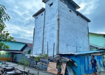 Pajak Sarang Burung Walet di Berau Bocor?