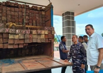 Penyelundupan Ratusan Kayu Ulin Ilegal Digagalkan di Pelabuhan Semayang Balikpapan