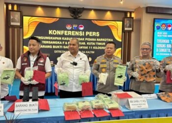 5 Daerah Rawan Narkotika di Kaltim: Balikpapan, Samarinda, Kukar, Kutim, Berau 5 Daerah Rawan Sabu di Kaltim: Balikpapan, Samarinda, Kukar, Kutim, Berau Polda Kaltim Gagalkan Peredaran Sabu Senilai Rp20 Miliar, Dua Kurir Diringkus di Sangatta, Diupah Rp2 Juta