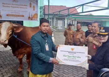 Prabowo Salurkan 1.098 Sapi Kurban Termasuk ke Kaltim, Anggarannya Rp100 Miliar dari APBN Dipelihara sejak Kecil, Cerita di Balik Sapi 732 Kg Bantuan Prabowo untuk Warga Bontang