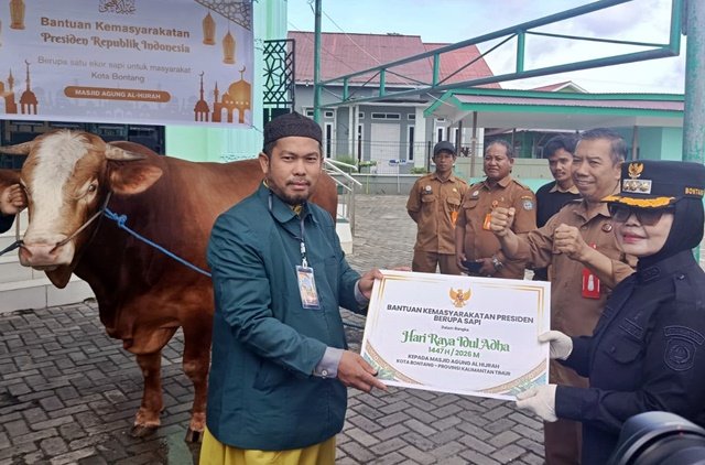 Prabowo Salurkan 1.098 Sapi Kurban Termasuk ke Kaltim, Anggarannya Rp100 Miliar dari APBN Dipelihara sejak Kecil, Cerita di Balik Sapi 732 Kg Bantuan Prabowo untuk Warga Bontang