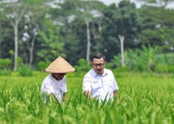Cuaca Tak Menentu Mulai Ganggu Pangan di Kaltim, Warga Diminta Tak Bergantung Beras