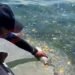 Siapa Rusak Laut Pulau Miang? DLH Kaltim Cium Dugaan Limbah Kapal dan Jetty DLH Kaltim Usut Pencemaran Pulau Miang, Perusahaan Sawit Segera Dipanggil Nelayan Pulau Miang Kutim Resah, Dugaan Pencemaran Laut Muncul di Sekitar Jeti CPO